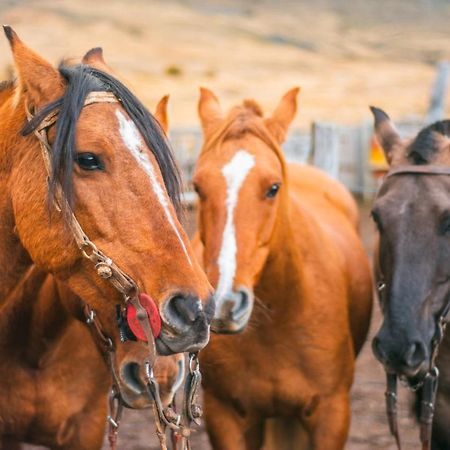 Estancia Nibepo Aike Colonia Francisco Perito Moreno Екстериор снимка