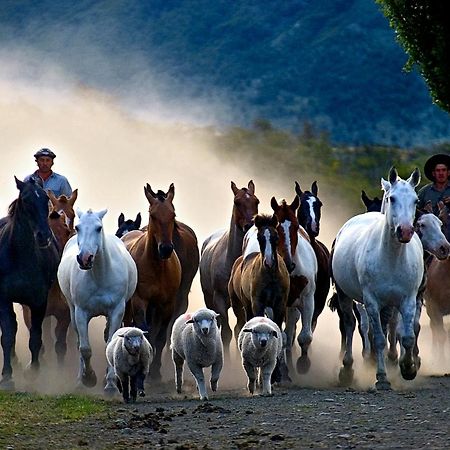 Estancia Nibepo Aike Colonia Francisco Perito Moreno Екстериор снимка