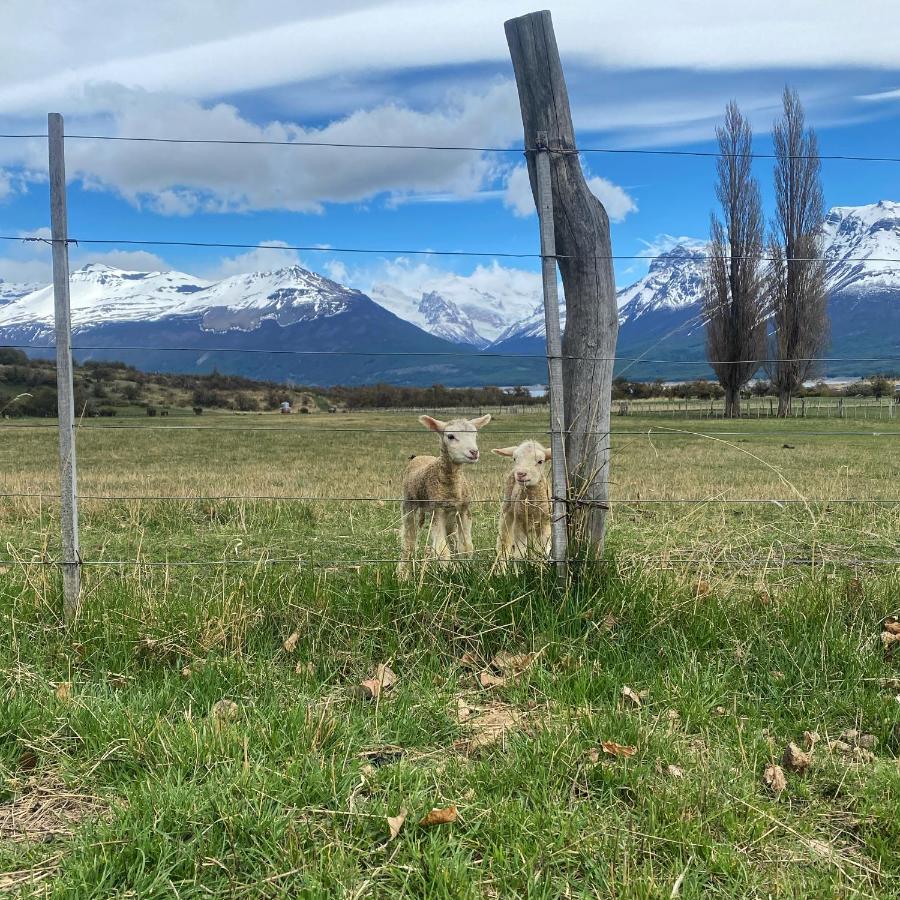 Estancia Nibepo Aike Colonia Francisco Perito Moreno Екстериор снимка