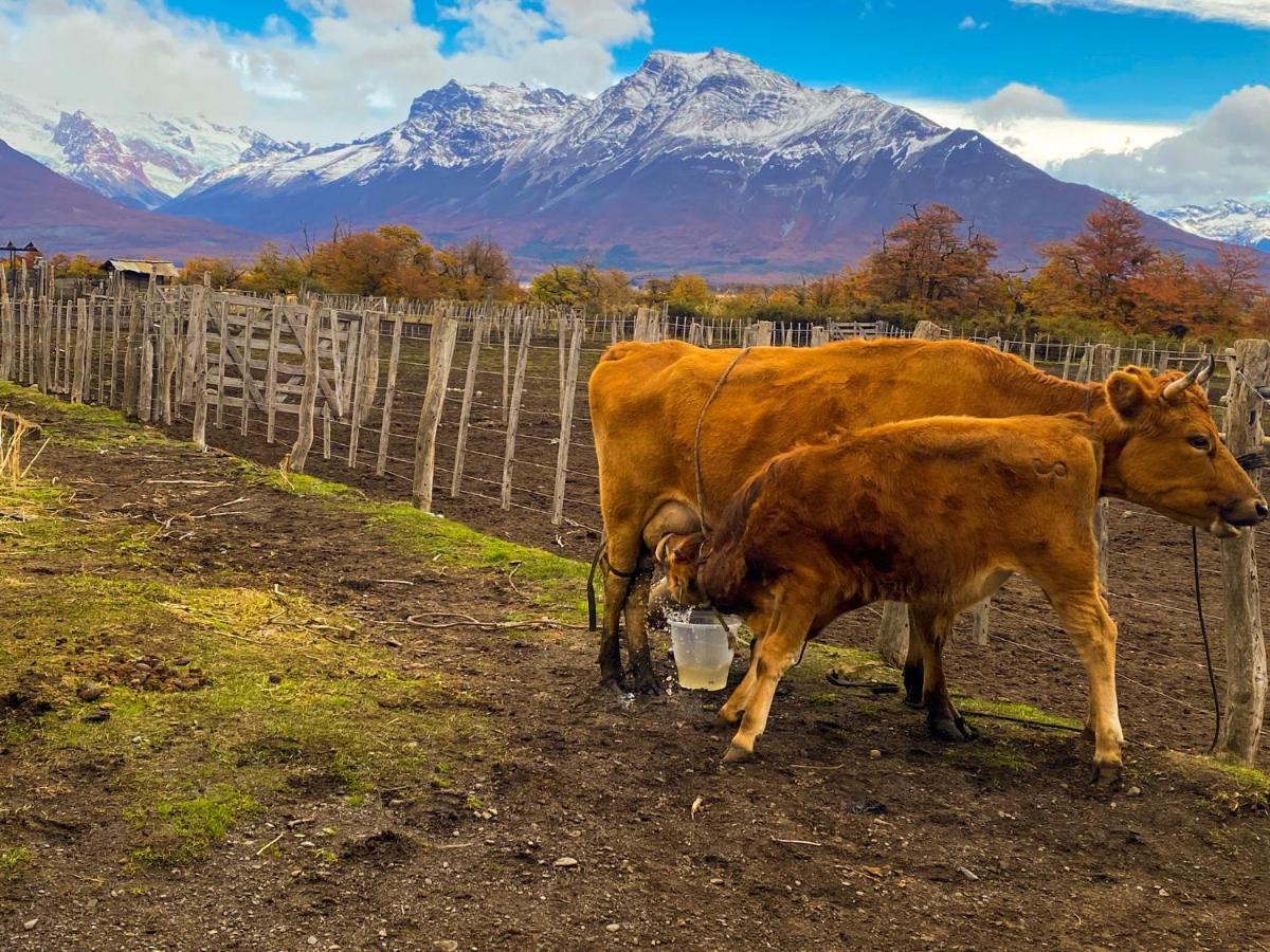 Estancia Nibepo Aike Colonia Francisco Perito Moreno Екстериор снимка