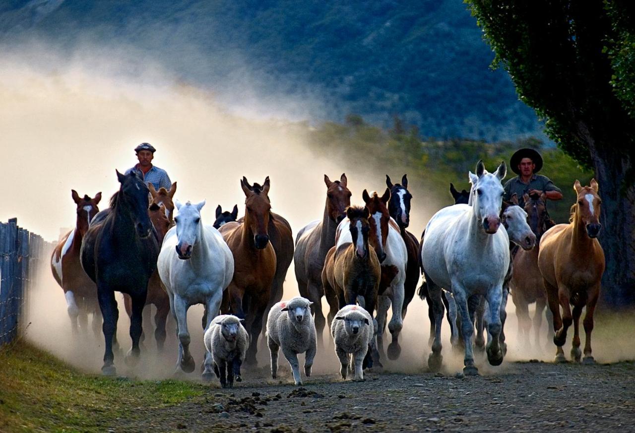 Estancia Nibepo Aike Colonia Francisco Perito Moreno Екстериор снимка