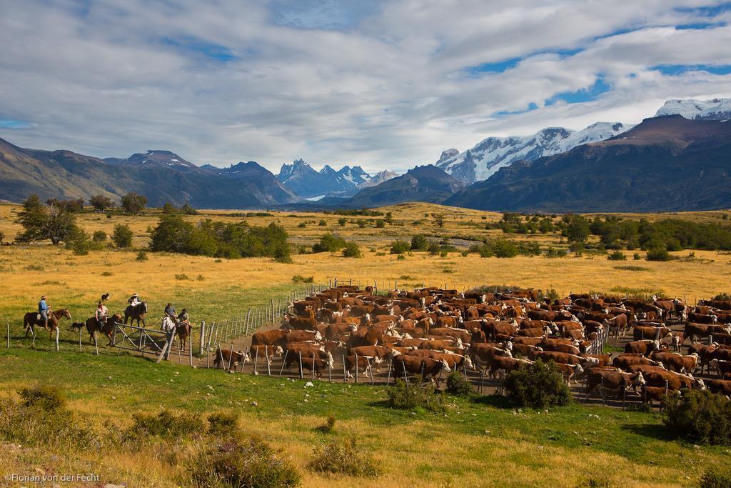 Estancia Nibepo Aike Colonia Francisco Perito Moreno Екстериор снимка